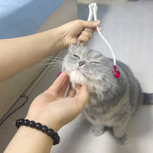 Cat Massage Relaxer